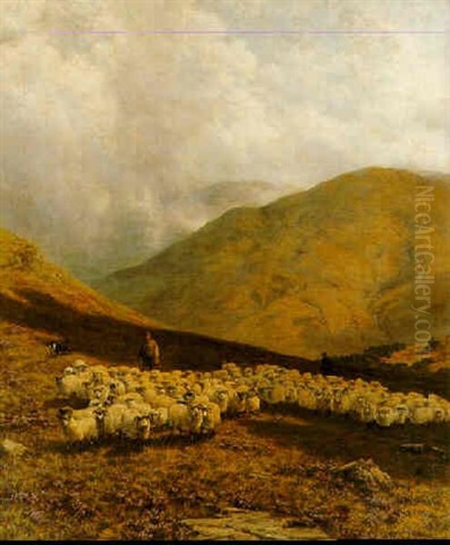 The Braes Of Balquhidder - view 1