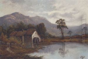 The Cottage The Cottage