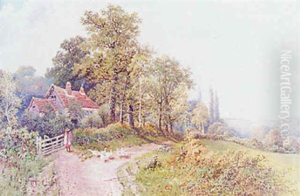 Extensive Country Landscape - view 1