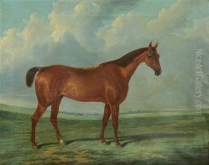 Portrait Of A Horse