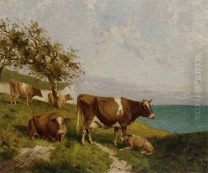 Cattle On The Cliffs
