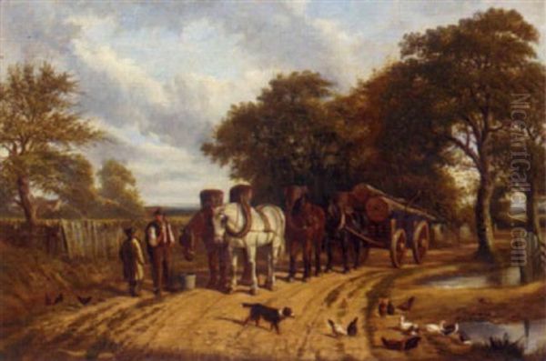 Logging - view 1