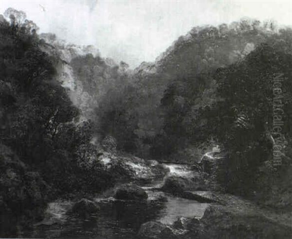 Waldlandschaft - view 1
