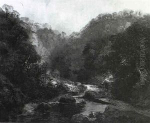 Waldlandschaft
