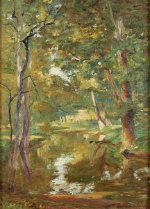 Forest Stream