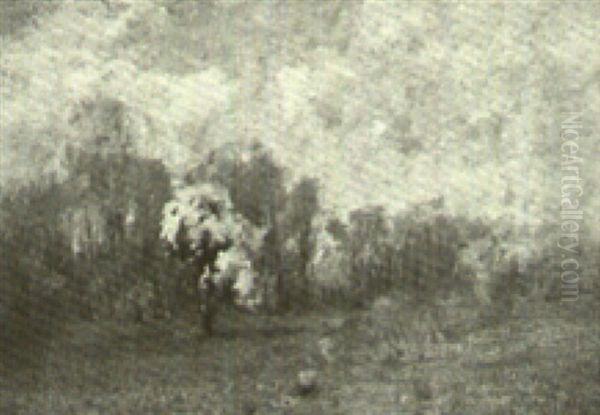 Burning Bush - view 1