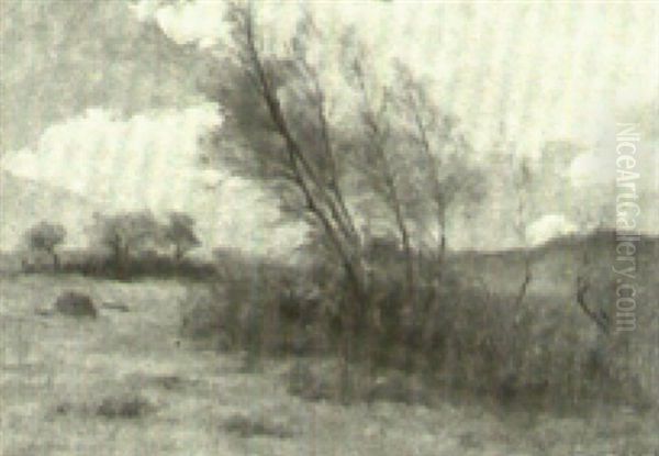 Blowing Trees - view 1