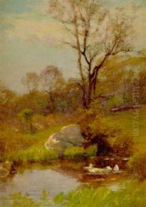 Ducks On A Pond