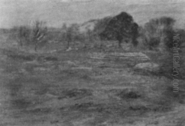 Pasture With Rocks - view 1