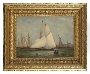 The Yacht Race