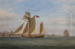 Topsail Ketch On The Clyde Sailing Past The Cloch Lighthouse