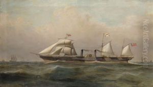 The Auxiliary Iron Paddle Steamer "atrato" Passing Ailsa Craig The Auxiliary Iron Paddle Steamer "atrato" Passing Ailsa Craig