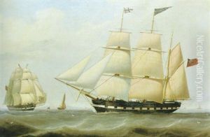 Marin Marin