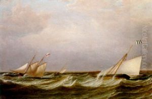 A Schooner And Two Cutters - Yachts Racing In A Stiff Breeze
