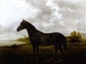 Portrait Of A Stallion In A Landscape by Frederick Clarke