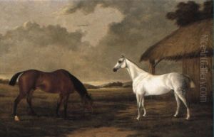 A Bay And A Grey Horse Grazing Beside A Stable