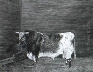 A Short Horn Bull by Frederick Clarke