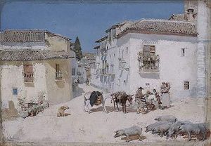 Calle De Pueblo Con Burros