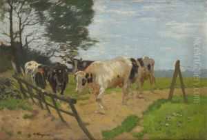 Vache A La Barriere Vache A La Barriere