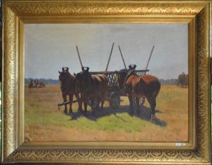 Chevaux Au Repos Pendant La Moisson Chevaux Au Repos Pendant La Moisson