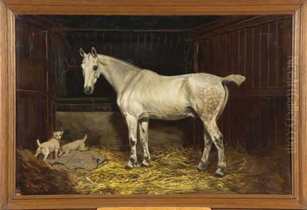 Cheval Blanc Et Deux Chiens A L'ecurie - view 1