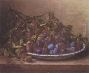 Nature Morte Au Plat De Prunes Nature Morte Au Plat De Prunes
