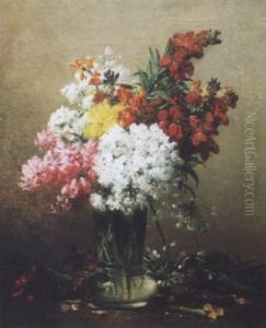 Giroflees Et Fleurs Des Champs Giroflees Et Fleurs Des Champs