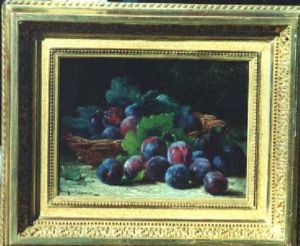 Still Life Of Plums Still Life Of Plums