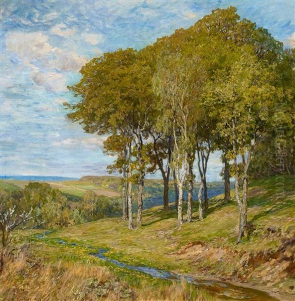 Sachsische Sommerlandschaft - view 1