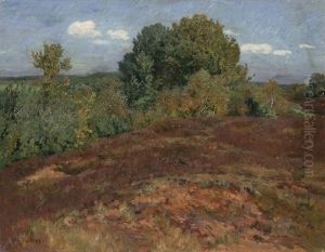 Sommer In Der Heide Bei Amelinghausen (?) by Wilhelm Ludwig Heinrich Claudius