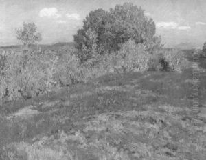 Heidelandschaft In Der Fruhlingssonne Heidelandschaft In Der Fruhlingssonne