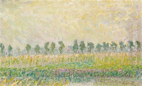 Paysage Ensoleille - view 1