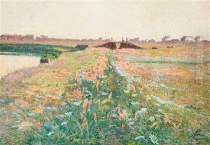 Diguette Fleurie Diguette Fleurie