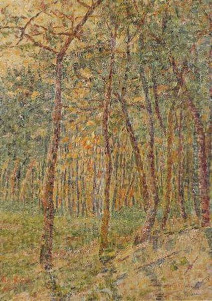 Sous-bois - view 1