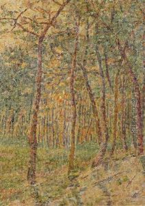 Sous-bois Sous-bois
