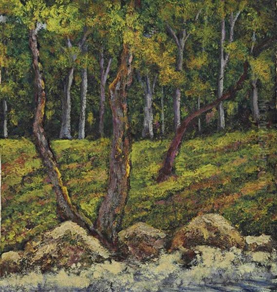 El Bosque - view 1