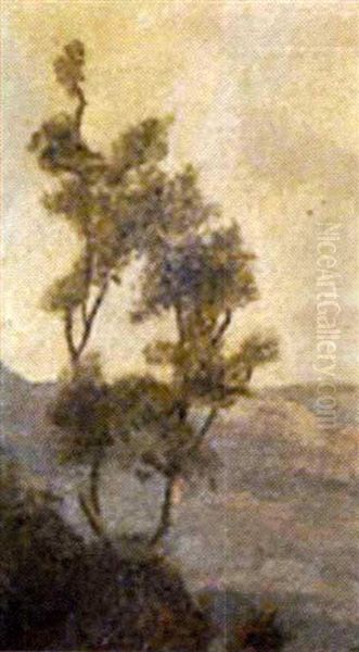 Bosque Con Rio - view 1