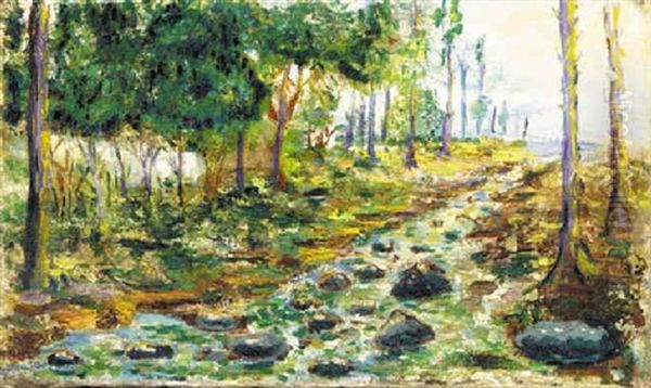 A Stream Through The Forest - view 1