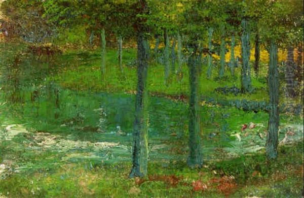 Interior De Un Bosque - view 1