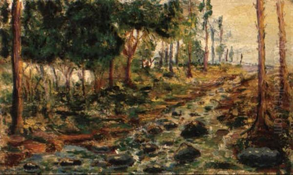El Rio - view 1