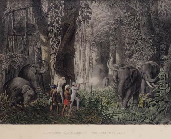 Reise ... In Ostindien, Ceylon, Java, China Und Bengalen. Pest:hermann Geibel, 1859. - view 1