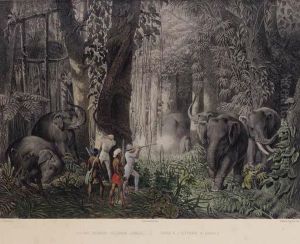 Reise ... In Ostindien, Ceylon, Java, China Und Bengalen. Pest:hermann Geibel, 1859.