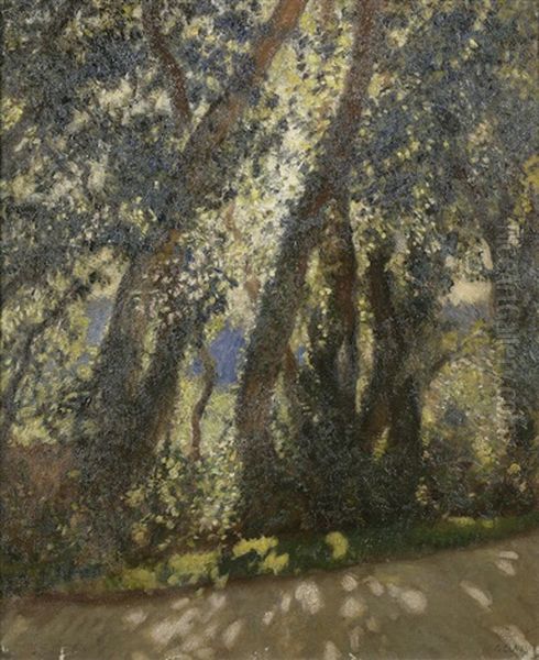 Roadside Trees, Afternoon - view 1