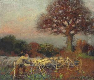 Sheepfold At Early Morning Sheepfold At Early Morning