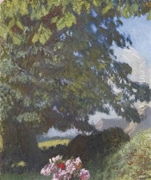 A Corner Of The Garden - view 1