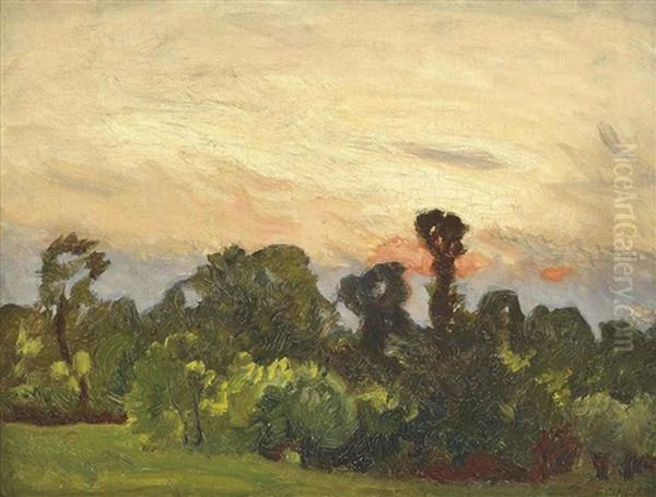 Wooded Landscape At Dusk - view 1