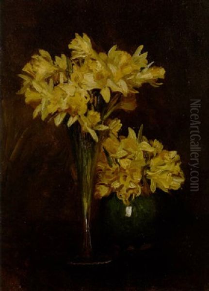 Daffodils - view 1