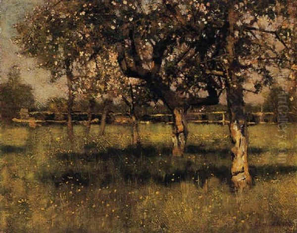 An Orchard In May - view 1