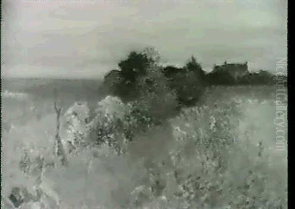 A Flower Strewn Field With Cottage Beyond - view 1