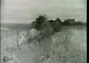 A Flower Strewn Field With Cottage Beyond